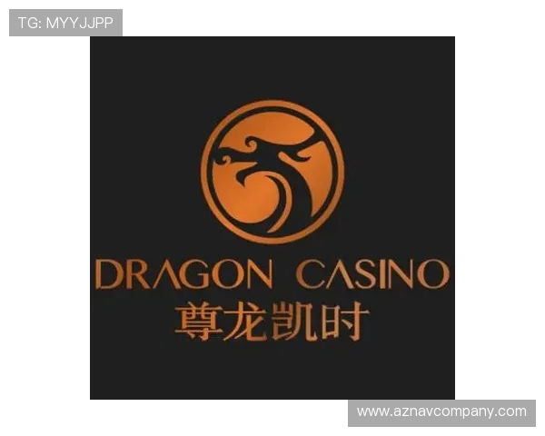 尊龙凯时人生就是搏官网助你实现财富梦想的专业线上博彩平台全面保障用户资金安全