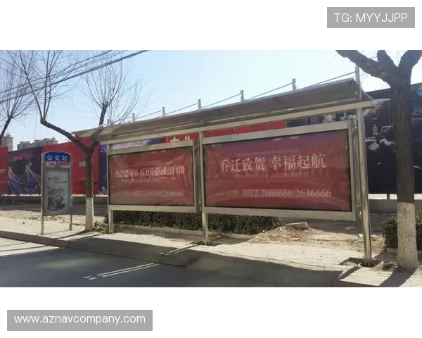 深入分析D88尊龙网站用户评价与信誉情况